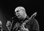 Hideaway : Eric Vandekerckhove (basse), Ralph Bonte (chant, guitare), Jean-Marie Herman (guitar), Patrick Cuivers (claviers), Geeraard de Groote (sax), Johan Guidée (batterie)